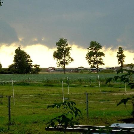 Deich Im Landhaus Michaela ฟรีดริคส์คูก ภายนอก รูปภาพ