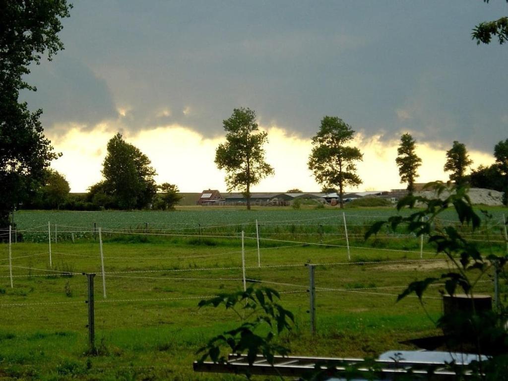 Deich Im Landhaus Michaela ฟรีดริคส์คูก ภายนอก รูปภาพ